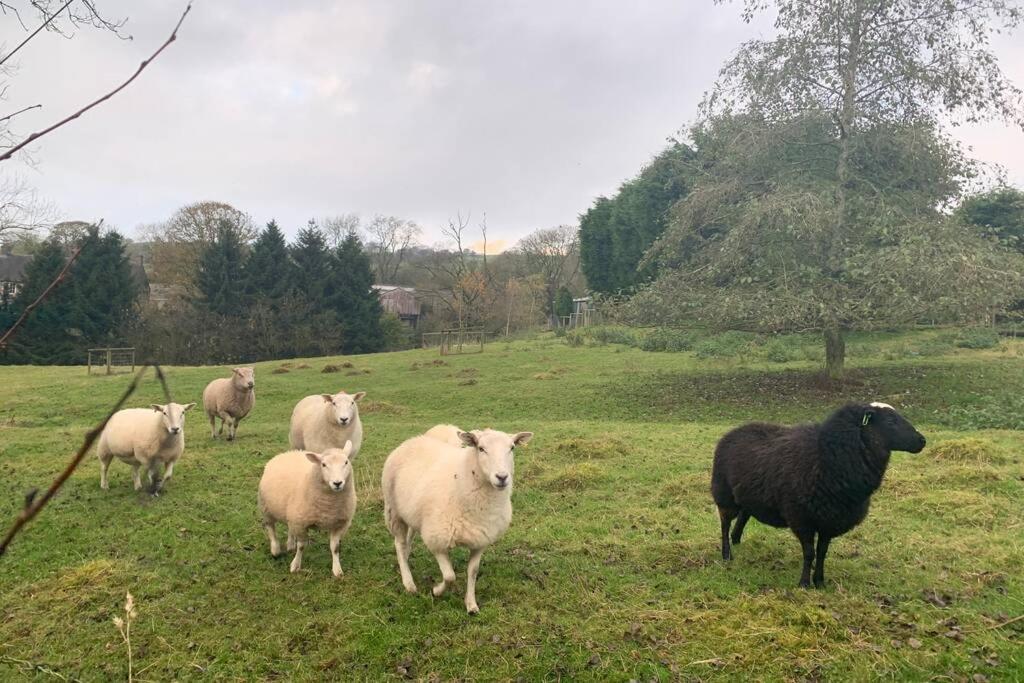 فيلا لييكفي Stunning Secluded Peak District Luxurious Barn المظهر الخارجي الصورة
